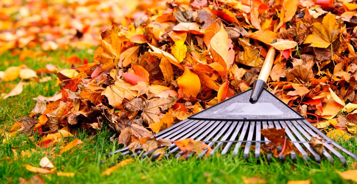 Yard maintenance. Crush Blog South Okanagan Real Estate Experts